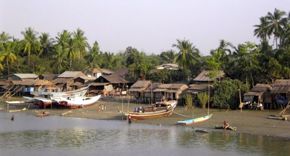 Rives de l'Irrawaddy