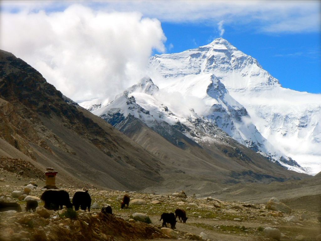 Everest, le toit du monde, côté Tibétain.