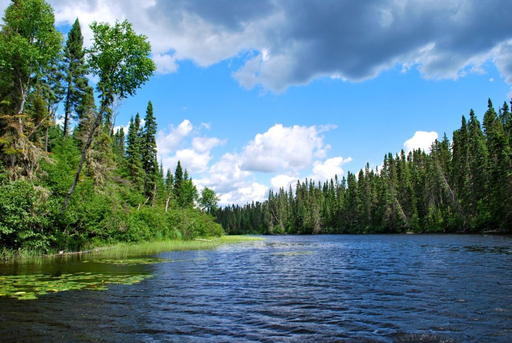 La photo de la semaine – à la&nbsp;maison