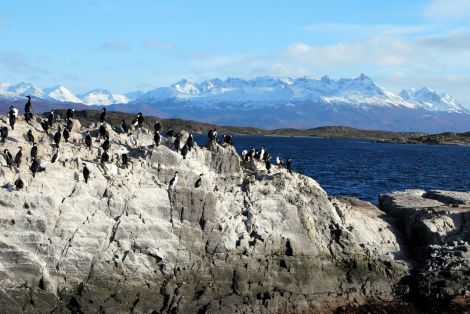 Le Canal Beagle, entre Ushuaia et Puerto Williams