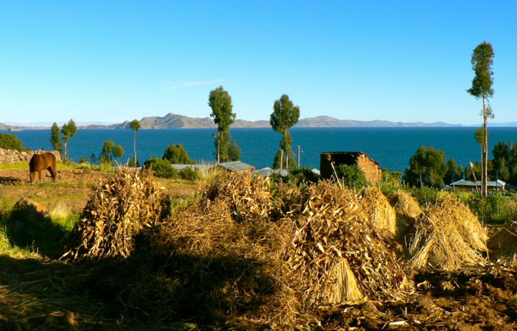 La photo de la semaine – Titicaca les flots