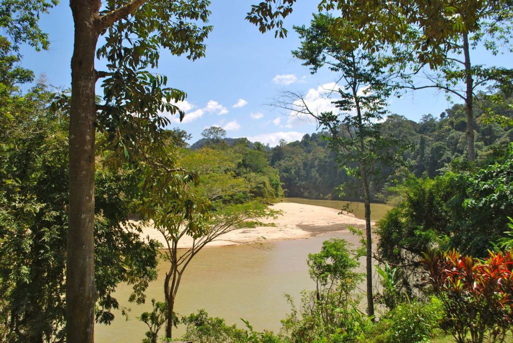 Parc de Taman Negara