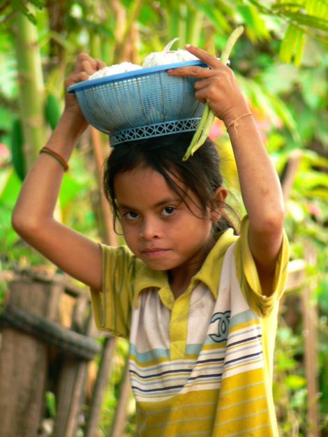 Plateau des Boloven, Laos