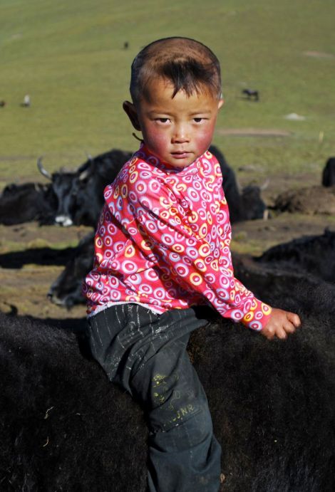 Région de l'Amdo, Tibet