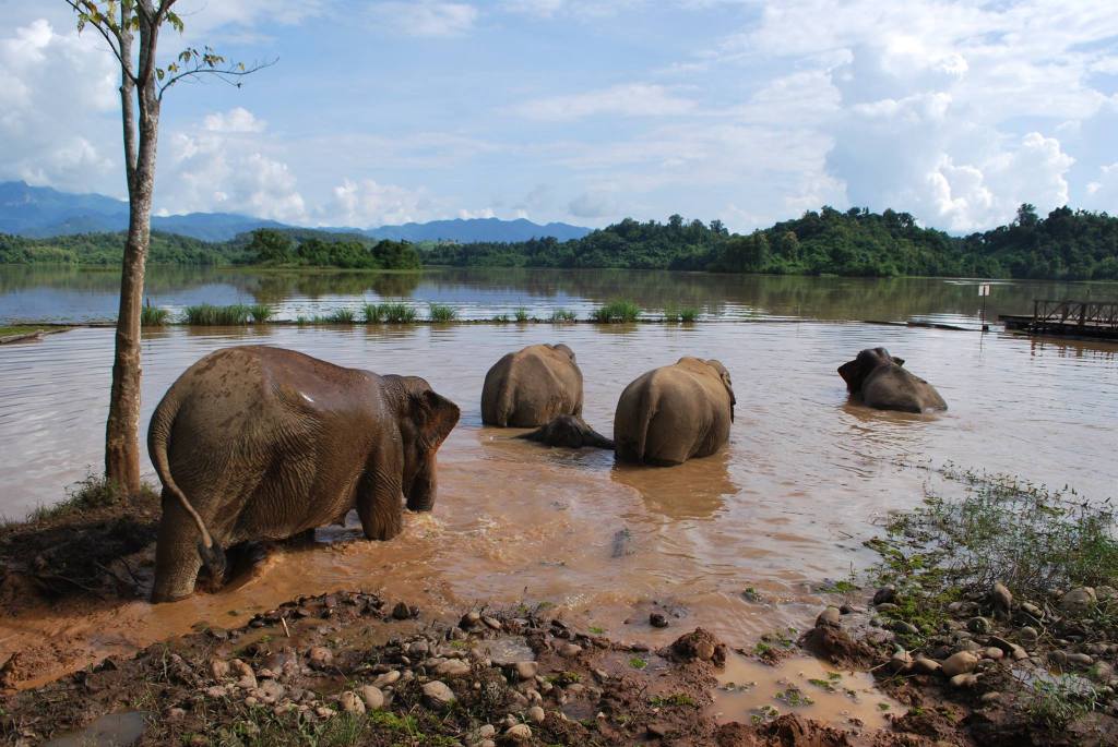 Sok Dee Laos, Konichiwa&nbsp;Japan