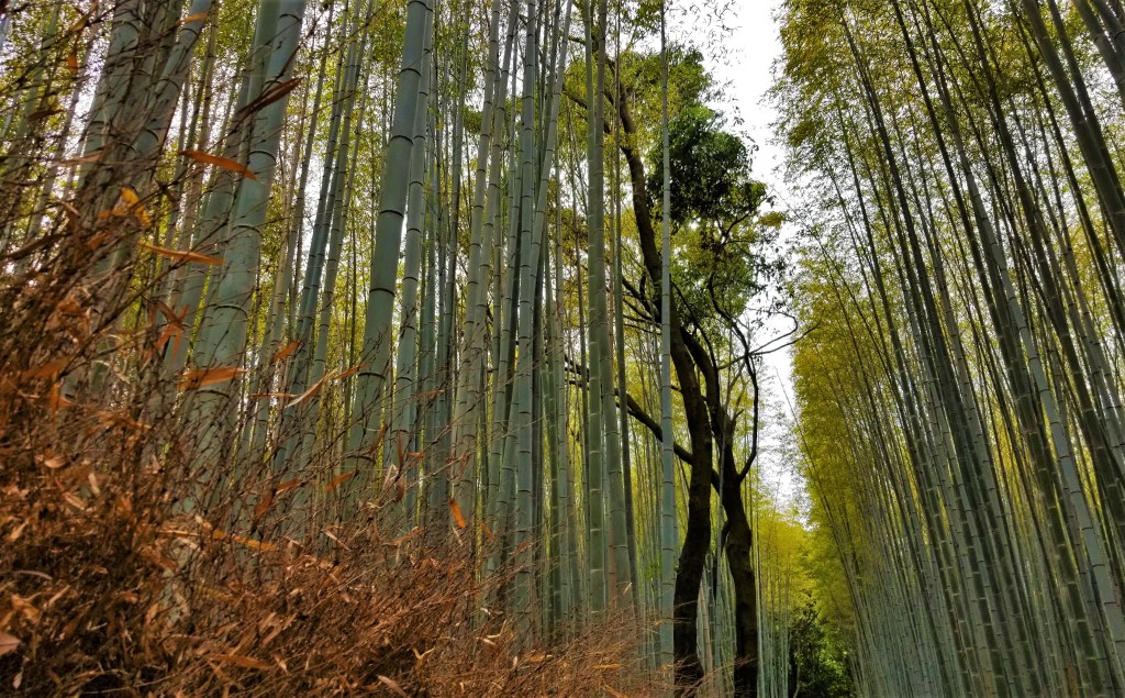 Deux ans au&nbsp;Japon